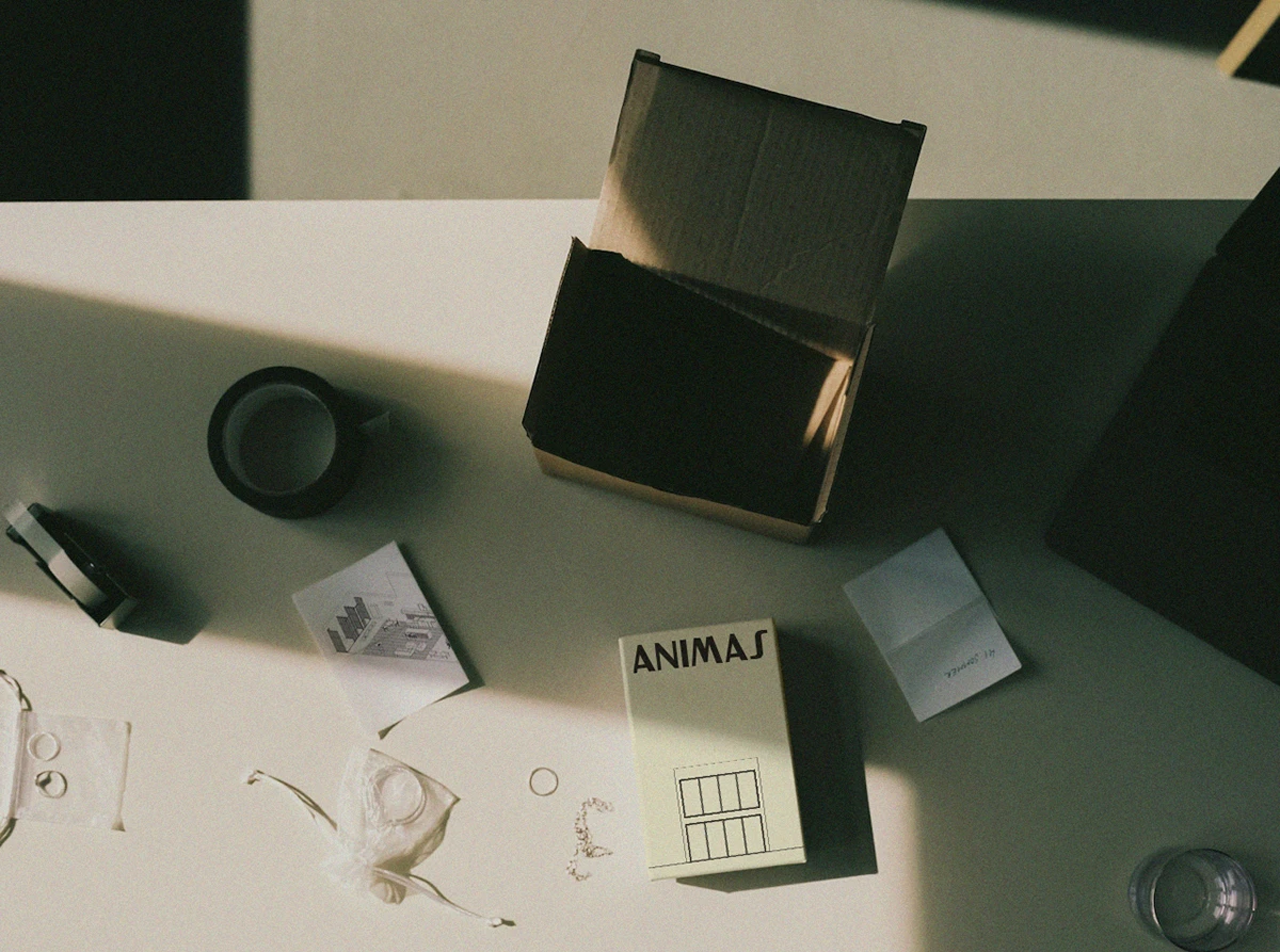 Proyecto Animas