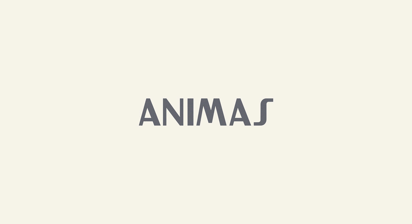 Proyecto Animas